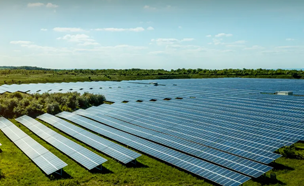 Eine große Fläche mit zahlreichen Solarpaneelen unter klarem Himmel